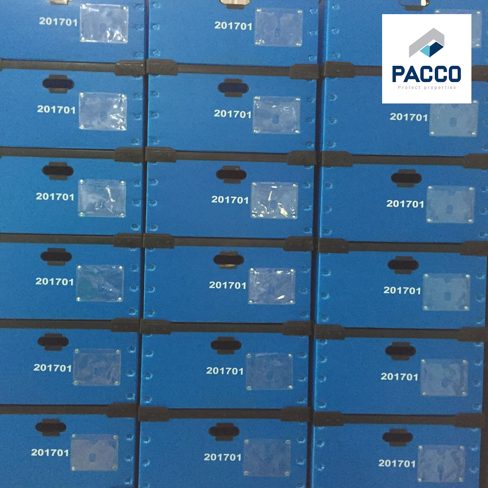 Pacco VN là đối tác đáng tin cậy, hỗ trợ các doanh nghiệp ô tô tối ưu hóa quy trình sản xuất