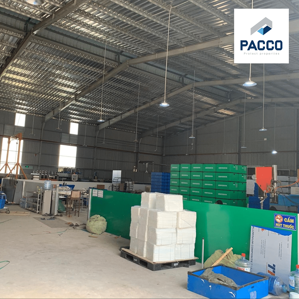 Pacco Việt Nam là một trong những đơn vị tiên phong trong lĩnh vực đóng gói của doanh nghiệp
