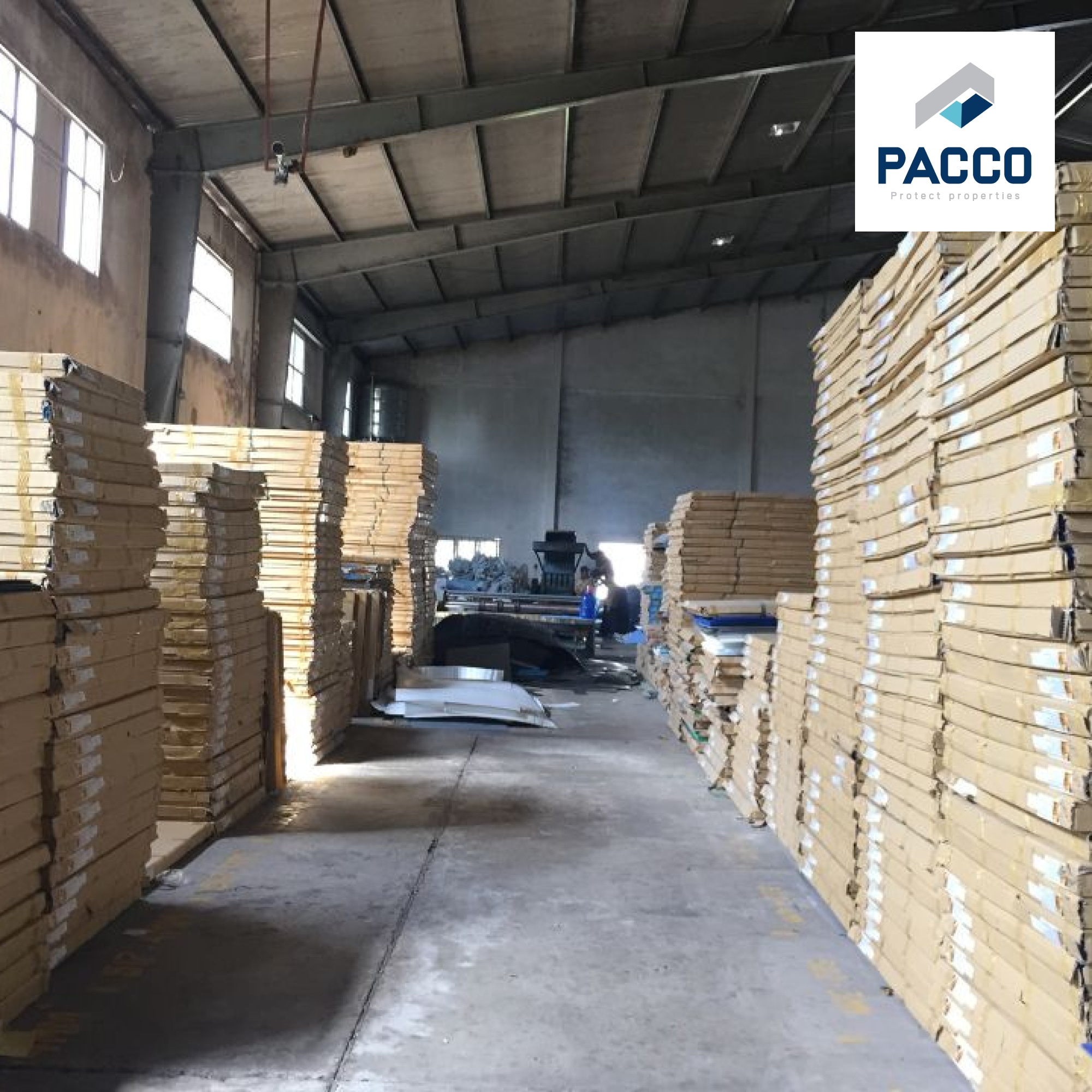 xưởng sản xuất tấm nhựa danpla tphcm của Pacco