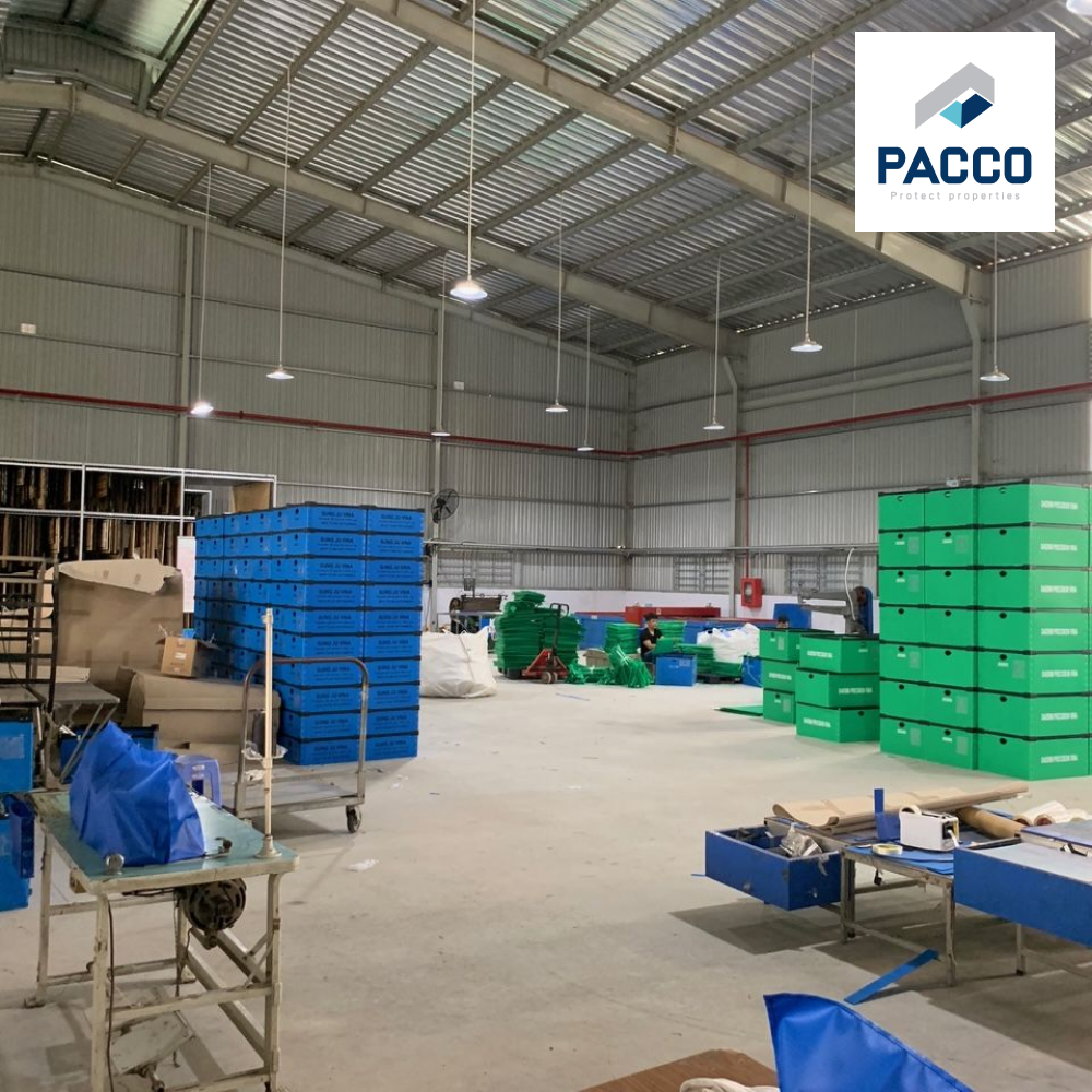 Pacco chuyên sản xuất tấm nhựa Danpla theo yêu cầu hàng đầu