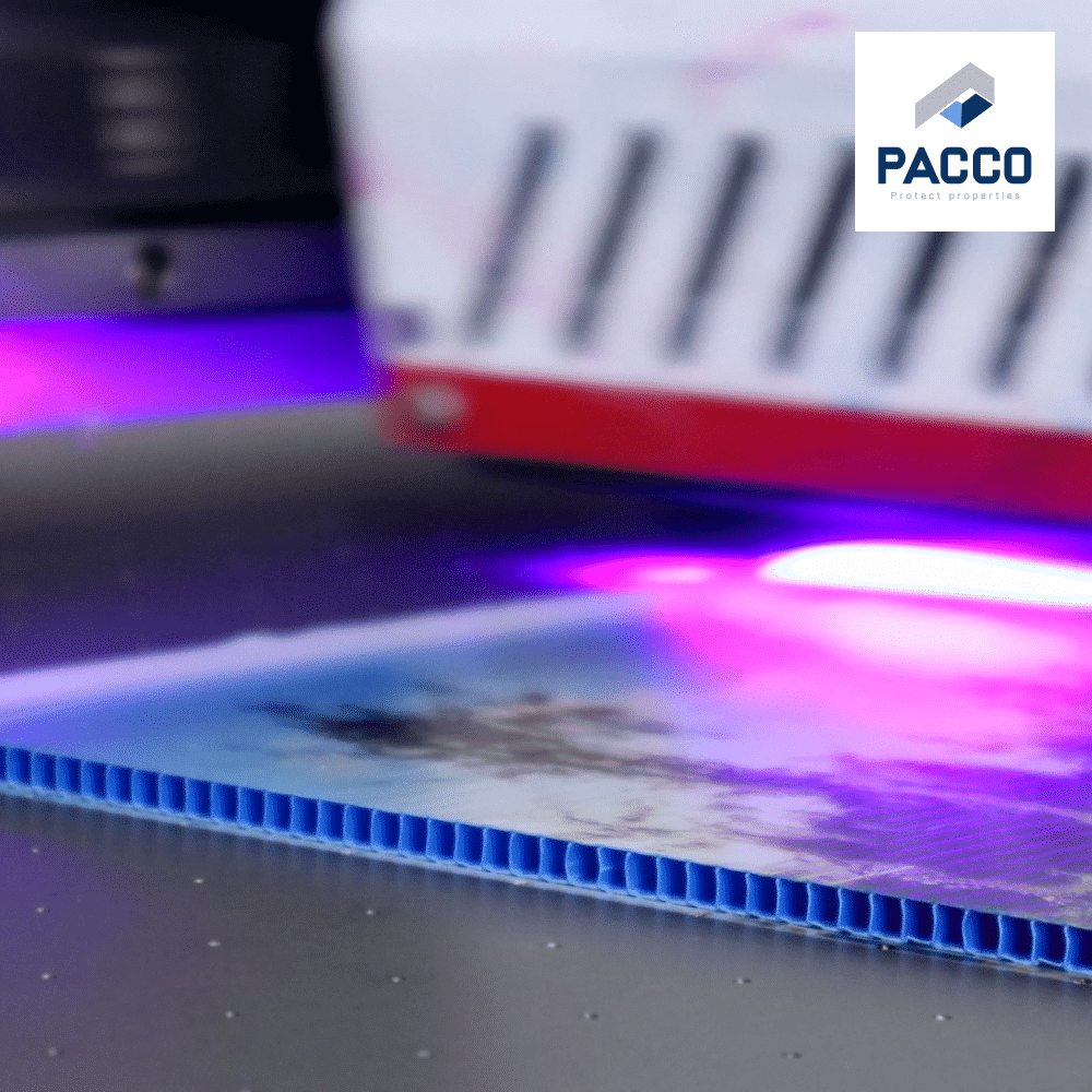 Tấm nhựa Danpla được cắt chính xác bằng công nghệ hiện đại tại xưởng Pacco