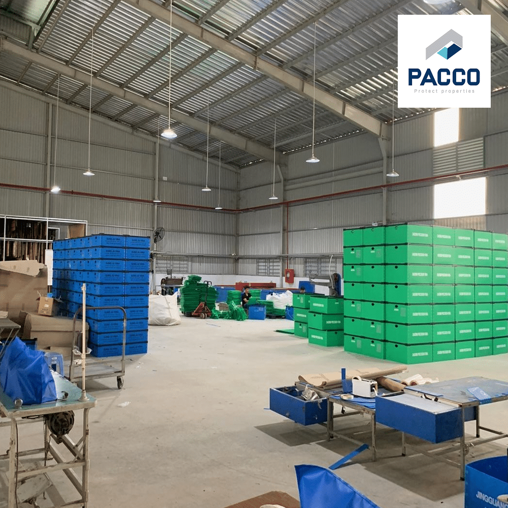 Pacco Việt Nam là nhà cung cấp giải pháp lưu trữ thiết yếu cho môi trường giáo dục